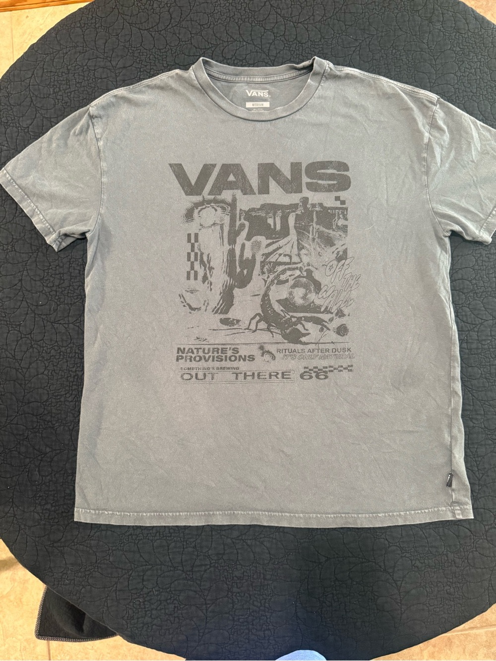 Vans Men's Faded Charcoal Graphic Tee